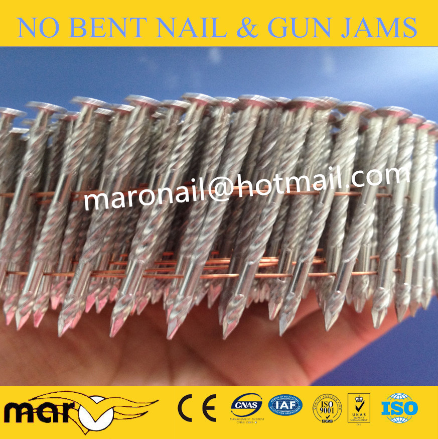 Hot-dicelup galvanis Coil Nail