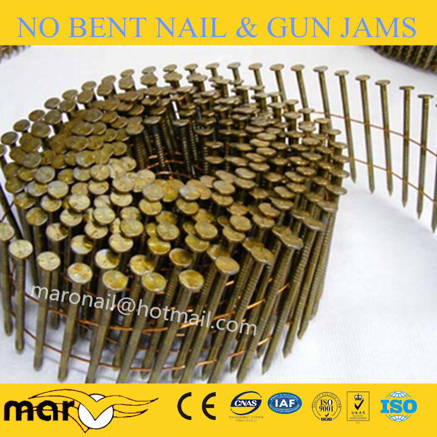 coil roofing nail